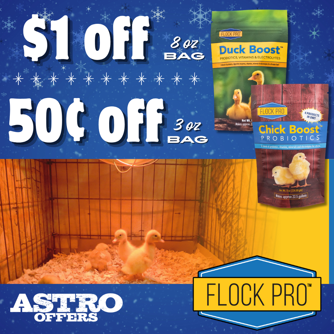Animal Health Solutions | Save on Flock Pro Chick Boost and Duck Boost