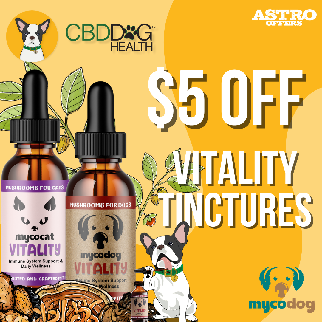 Vitality is a daily mushroom boost for your pet's wellness. With Turkey Tail, Reishi, Chaga, and more, this blend supports resilience, immune balance, and cellular harmony - naturally and gently.