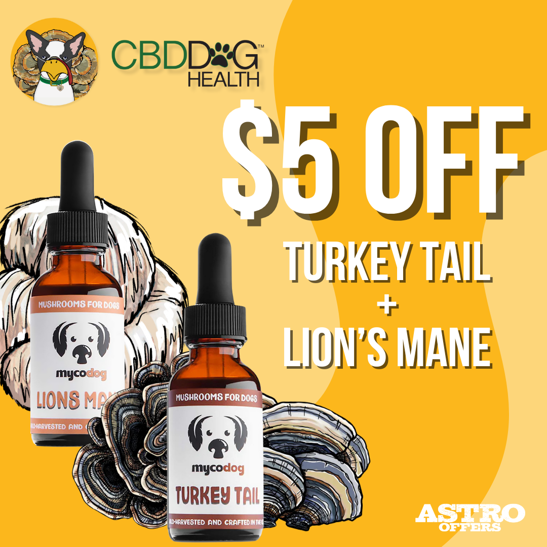 This fall, give thanks for your pet's health with our Lion's Mane and Turkey Tail mushroom extracts! Support their immune strength, mental clarity, and overall vitality naturally and holistically.