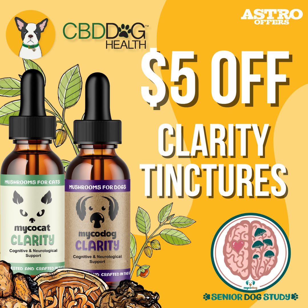 Clarity features Lions Mane, Reishi, Cordyceps, and Bacopa Monnieri to support cognitive wellness, balance, and quality of life in aging pets. In the Senior Dog Study, 81% of dogs showed improvements.