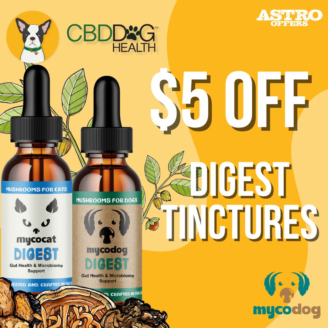 Support your pet's digestion naturally! Digest by MycoDog and MycoCat features Lion's Mane, Shiitake, Turkey Tail & Chaga to help maintain a happy, balanced gut.