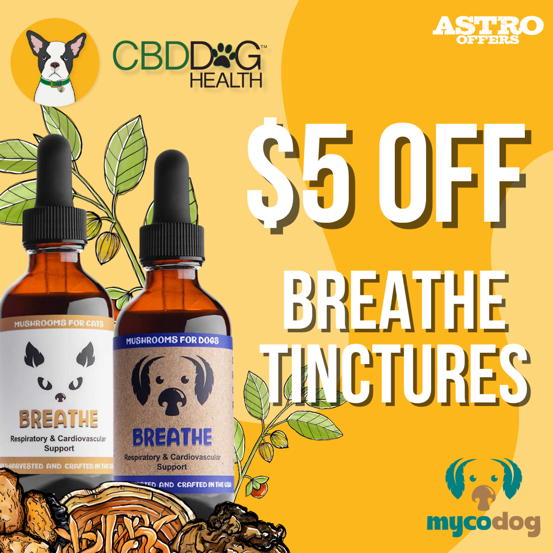 Breathe is a US-grown spagyric mushroom tincture with adaptogens, designed to support your pet's respiratory and heart health. Promote easier breathing and overall vitality with this natural blend!