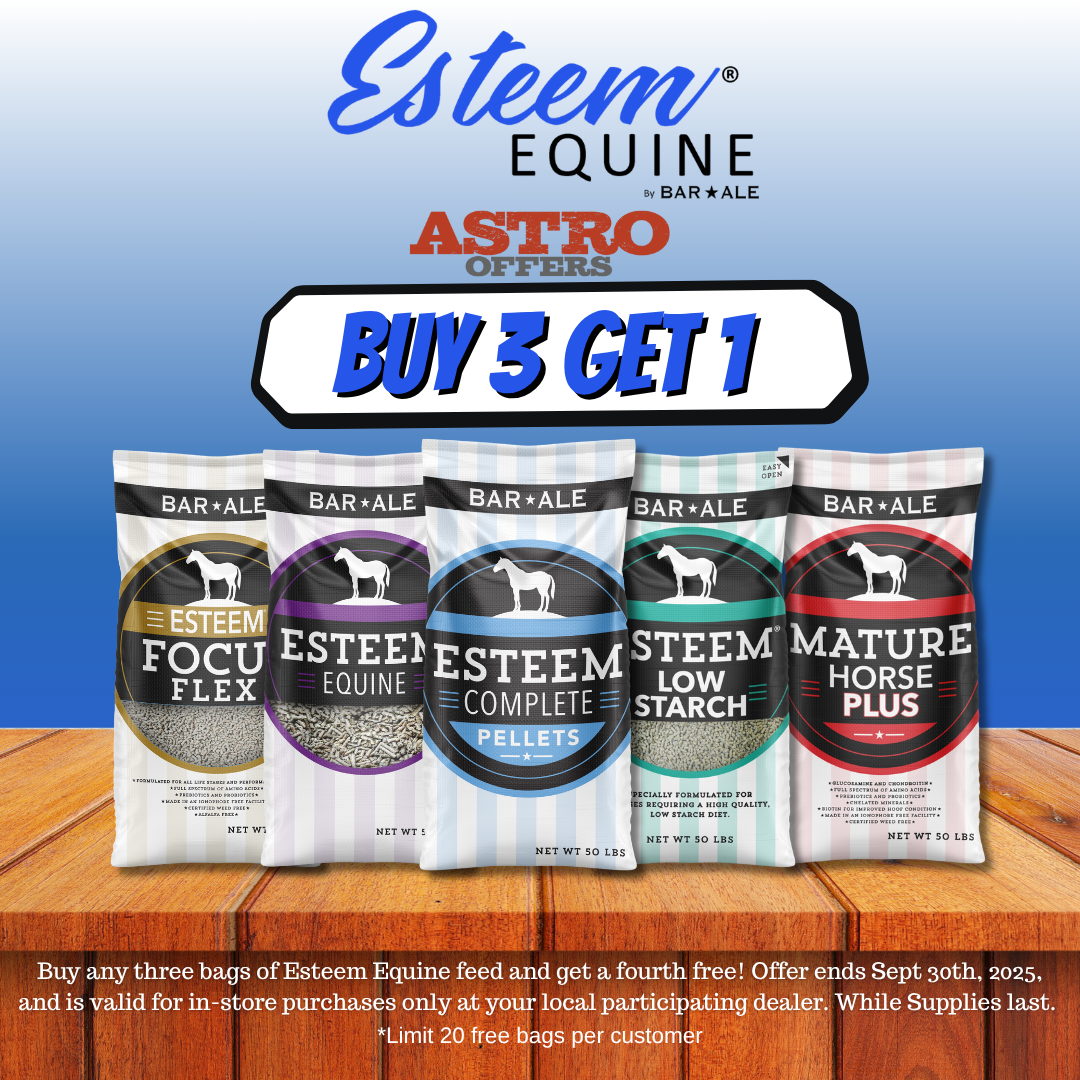 Bar ALE | Buy 3, Get 1 FREE on Esteem Equine Bags