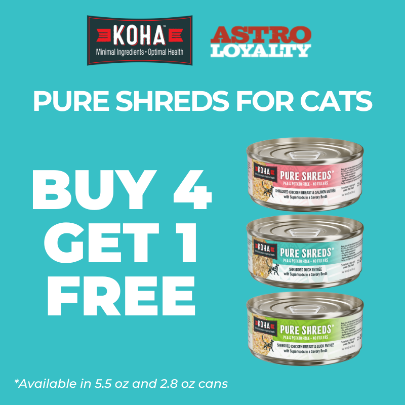 Even the pickiest cats can't resist these delicious, shredded recipes in a savory broth.