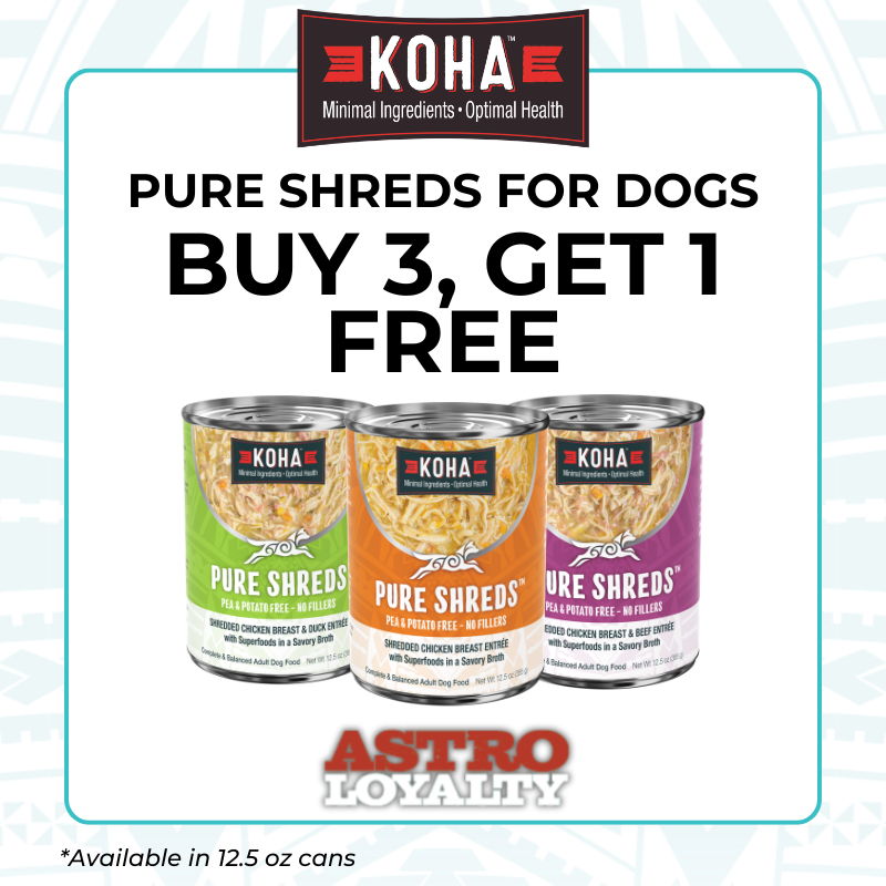 Even the pickiest pups can't resist these delicious, shredded recipes in a savory broth.
