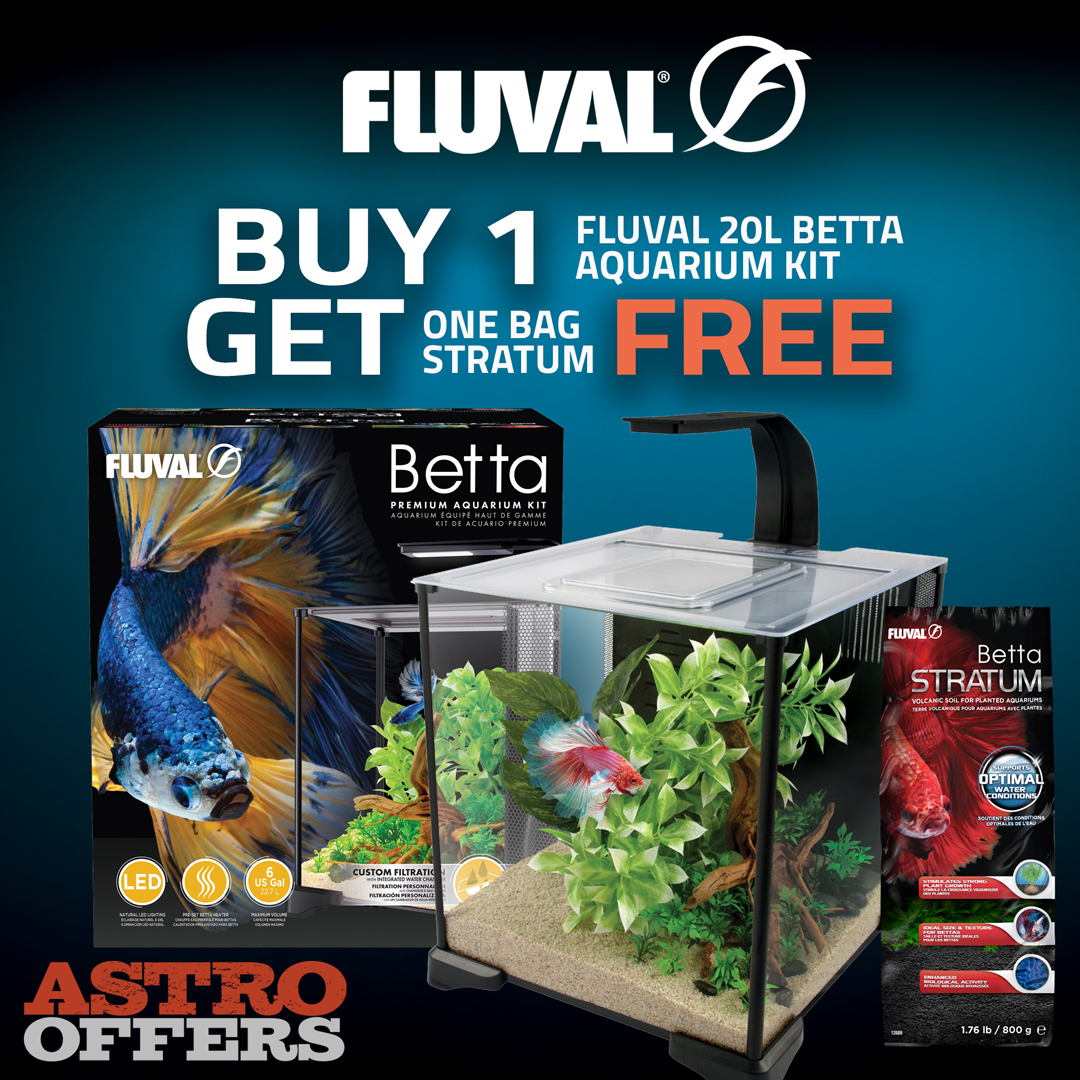 Inspired by nature, this aquarium is designed to replicate the natural tropical habitats of B. splendens the worlds most popular fish species.