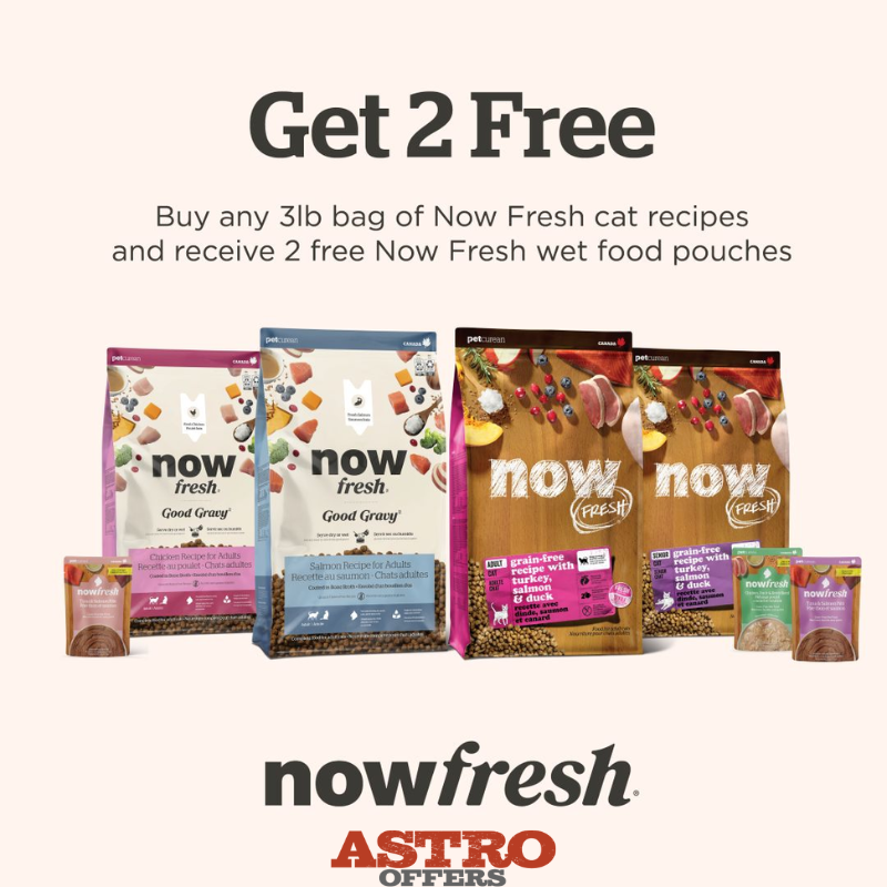 Petcurean | Buy a 3lb Now Fresh Cat Recipe, Get 2 Now Fresh Cat Pouches FREE!
