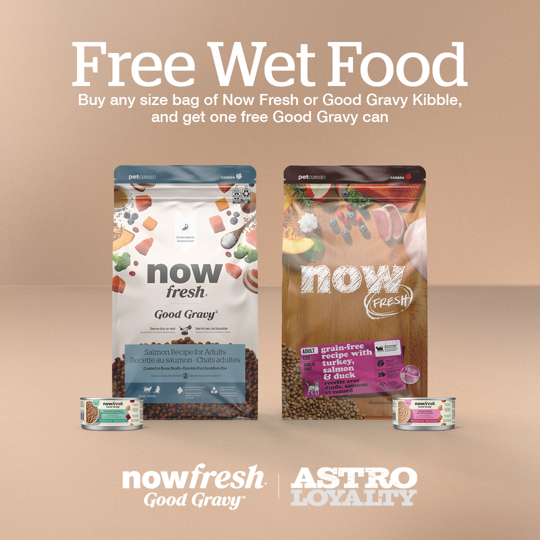 Now Fresh offers minimally processed recipes for cats of all ages and breeds, made with high-quality fresh meats, fish, fruits, and vegetables.
