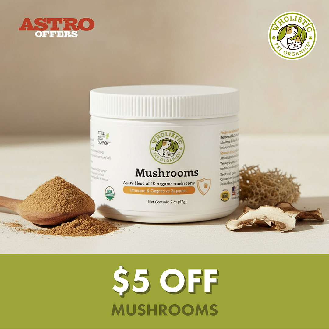 Our Organic Mushroom Blend uses full-spectrum mycelium and fruiting bodies to support immune and cognitive health, providing natural compounds with no artificial additives. Good for dogs & cats!