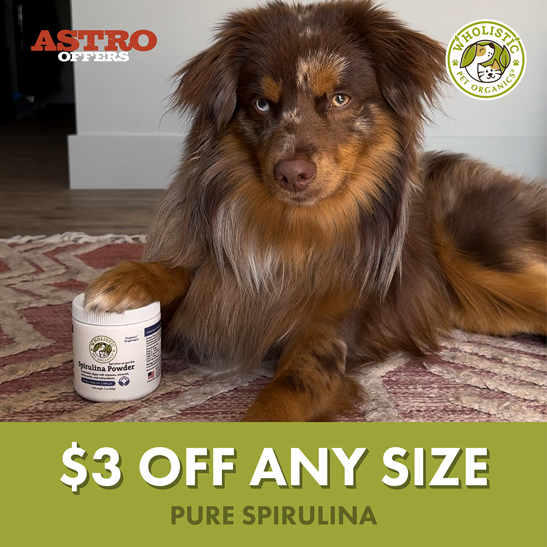 Wholistic Spirulina is a nutrient-dense freshwater algae with naturally occurring vitamins, minerals, amino acids, and antioxidants. A great addition to any diet!