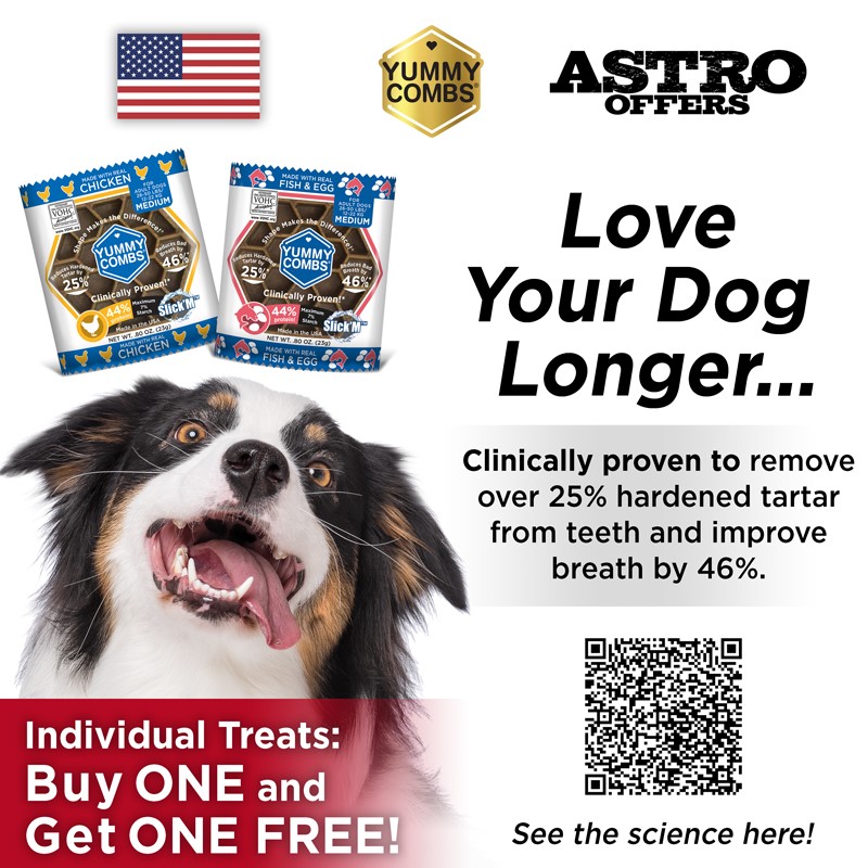 Yummy Combs | Buy 1, Get 1 FREE on Individually Wrapped Treats