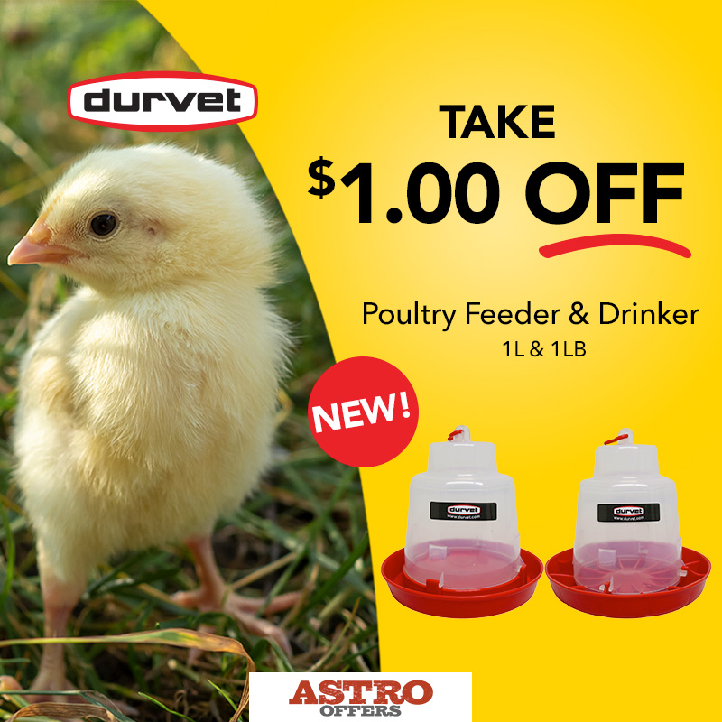 Durvet | $1.00 OFF Poultry Feeder and Drinker - 1lb & 1L