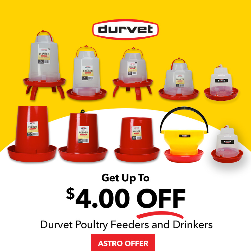 Durvet | Dollars OFF Poultry Feeders & Drinkers