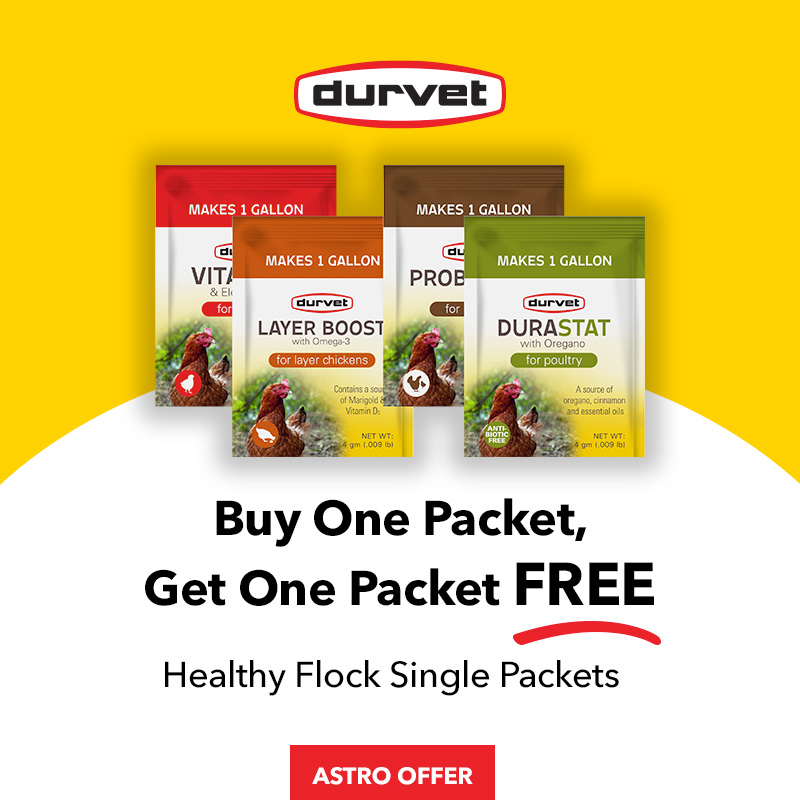 Durvet | Buy 1, Get 1 FREE on Healthy Flock Single Packets