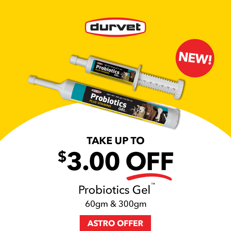 Support your animal's digestive health with Probiotics Gel. A convenient source of probiotics, prebiotics, and vitamins to help maintain appetite and digestion.