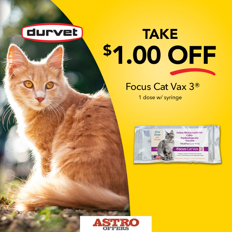 Take charge of your cat's health with easy, at-home 3-way protection against common feline viruses with Focus Cat Vax 3.