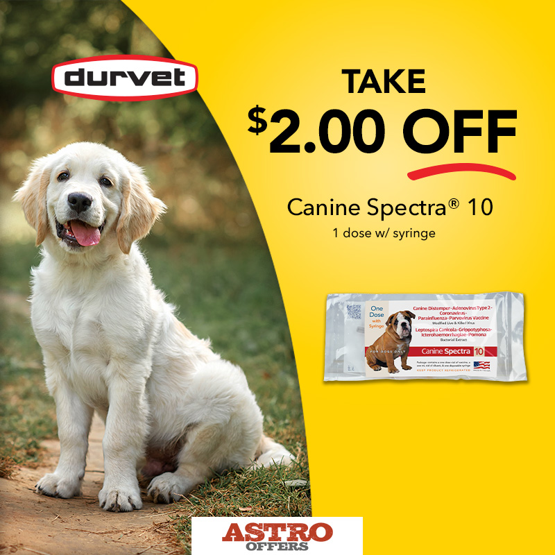 10-way protection for your dog's health - all in one convenient vaccine you can give at home!