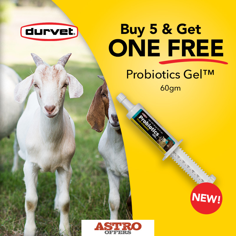Support healthy digestion across multiple species with Durvet's Probiotics Gel (60gm), formulated to help maintain appetite and digestive balance.