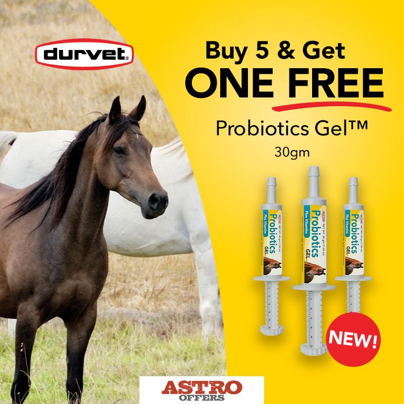 Support your horse from the inside out with Durvet's Probiotics Gel - formulated with direct fed microbials, prebiotic inulin, and select vitamins to help maintain appetite and healthy digestion.
