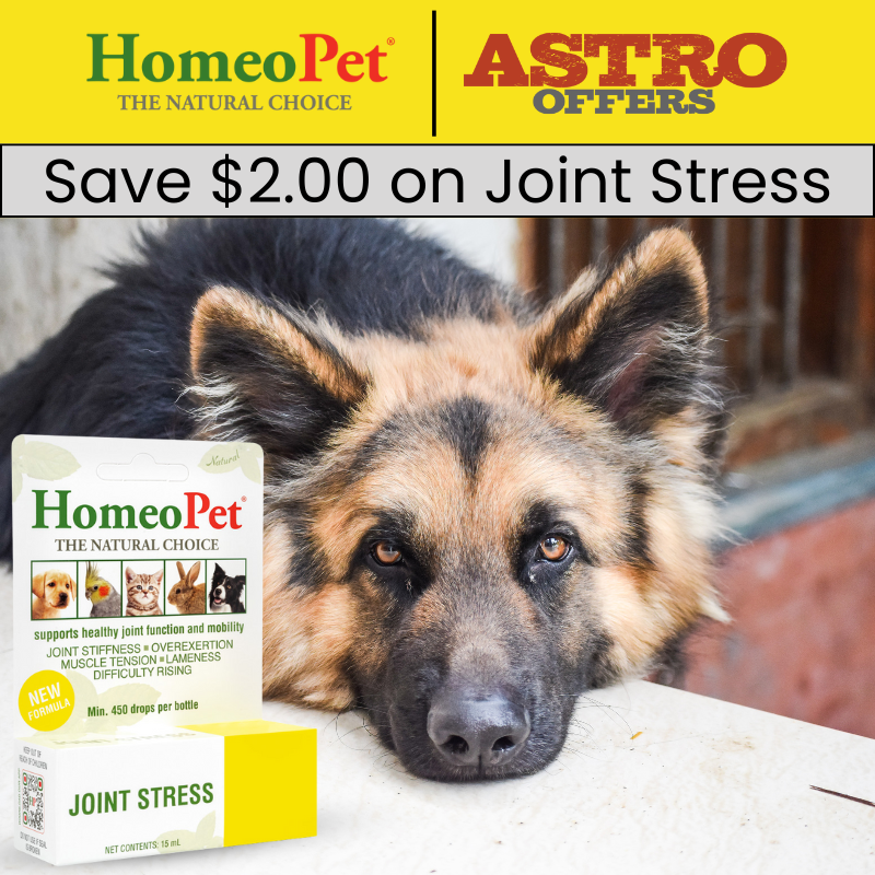 HomeoPet Joint Stress is a veterinarian-formulated liquid remedy that may help support healthy joint function and mobility in pets.