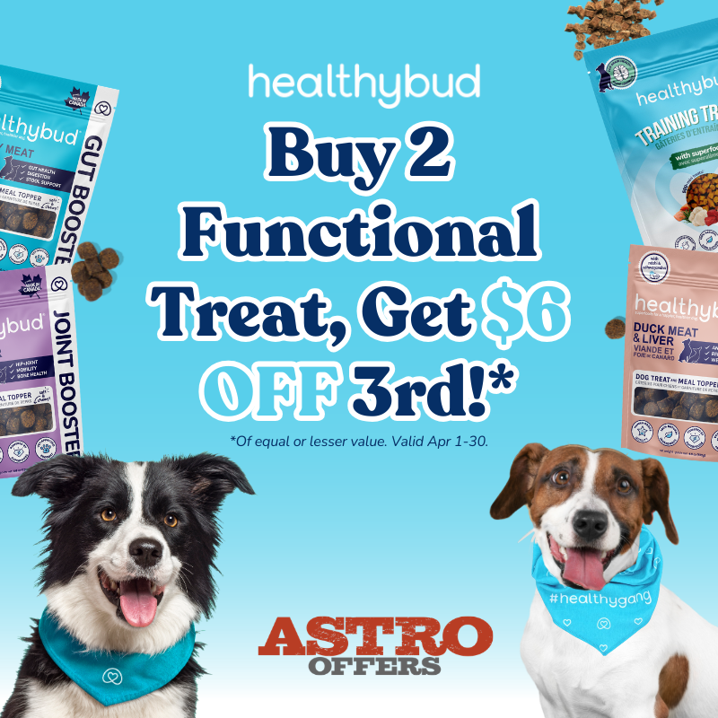 Healthybud's functional treats are purposefully crafted with vet-approved, superfood ingredients to support your dog's health needs, like digestion, mobility, and immunity, while rewarding them.