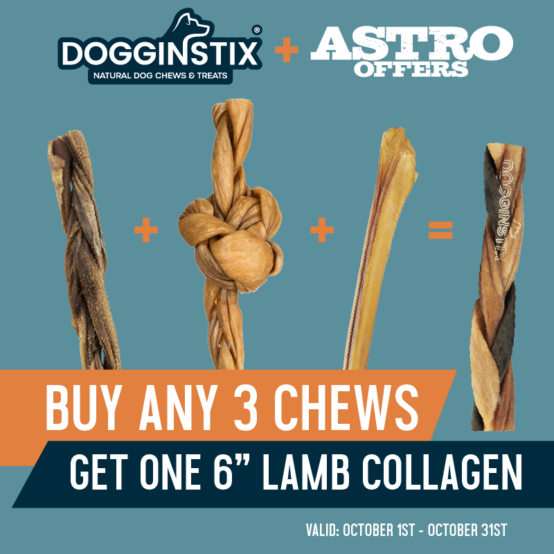 Enjoy this free Lamb Collagen 6in - a natural, protein-rich chew that supports healthy joints, skin, and coat while promoting overall wellness and giving your dog a delicious, long-lasting reward.