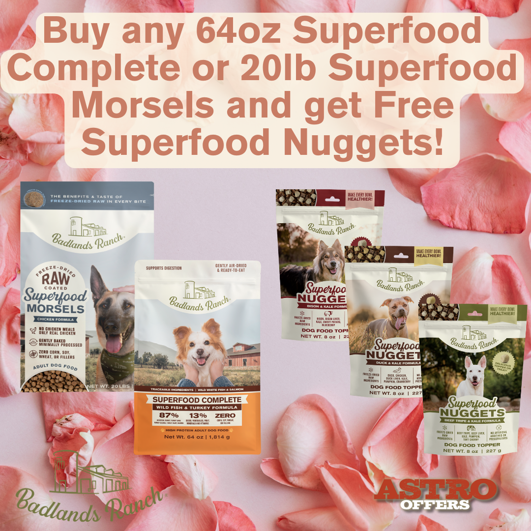 Superfood Nuggets are a premium, freeze-dried raw dog food topper carefully formulated to supercharge a dog's meals with irresistible flavor and powerful nutrition. 