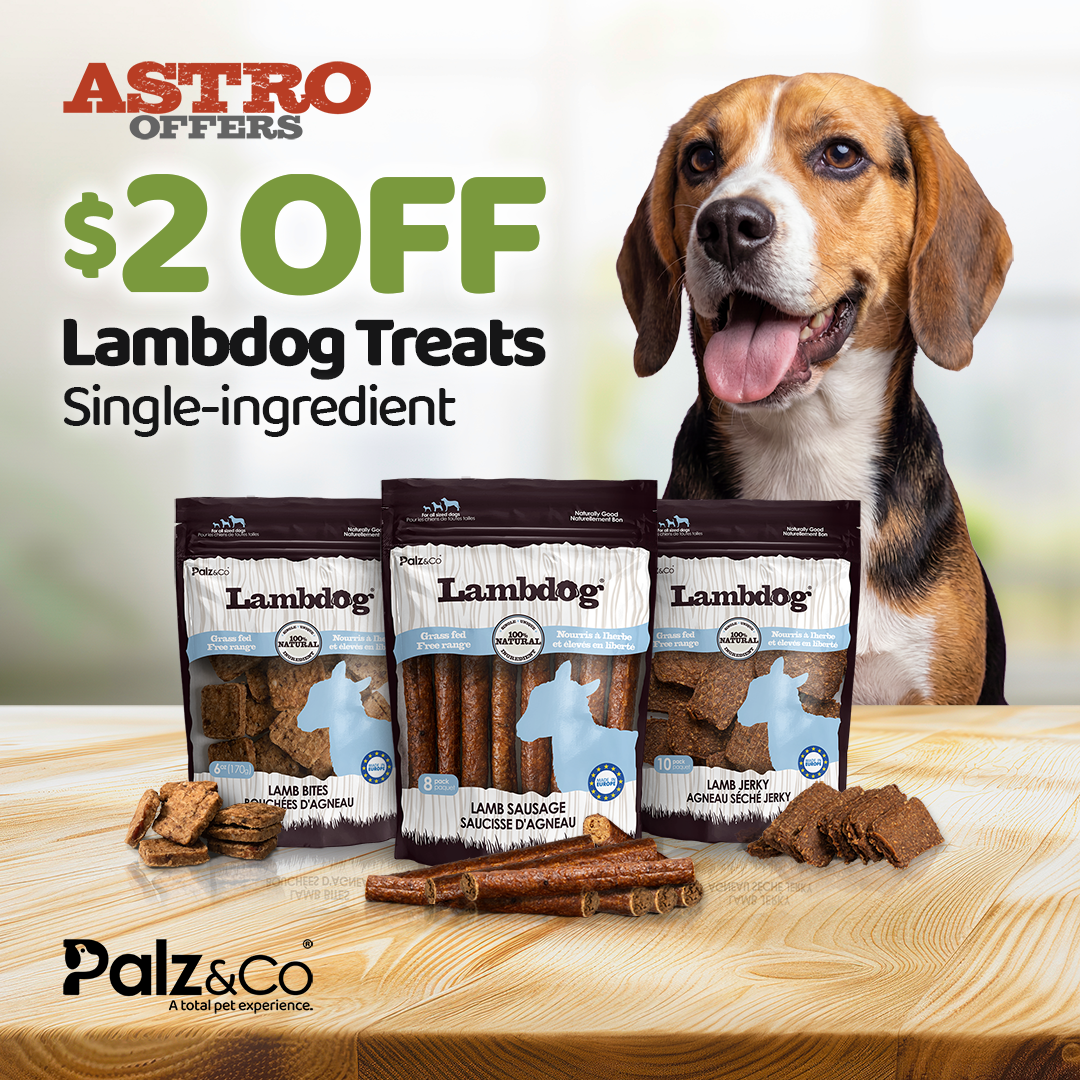 Palz&Co Lambdog treats are single-ingredient lamb options available in Lamb Bites, Lamb Sausage, and Lamb Jerky.