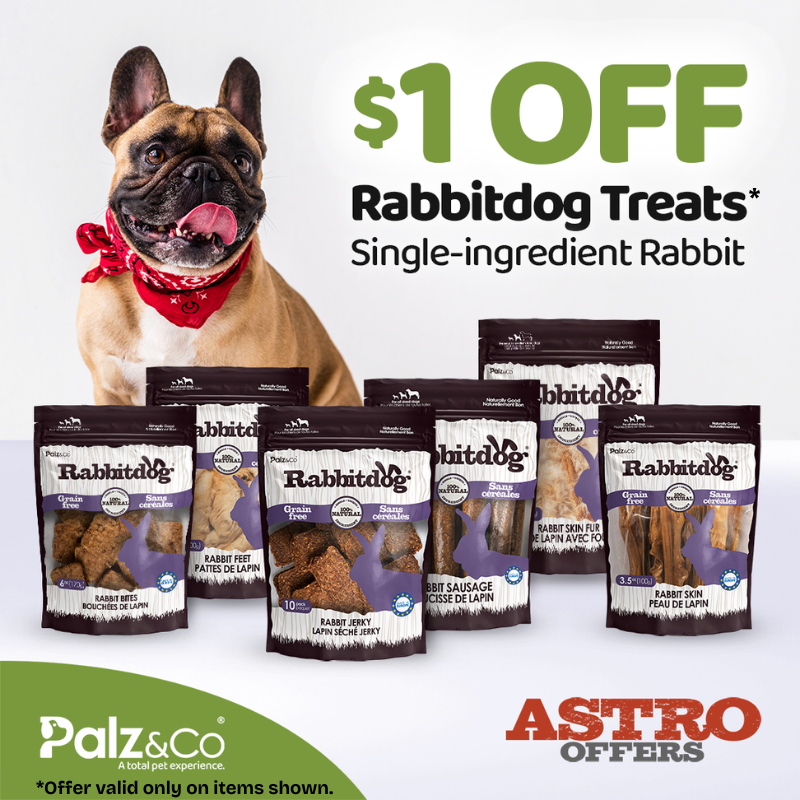 RabbitDog treats available in everyday and long-lasting options.