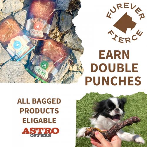 Furerver Fierce | Earn Double Punches!