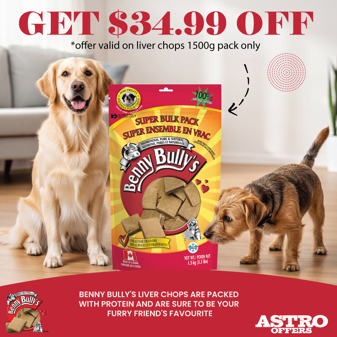 Experience Benny Bully's pure freeze dried beef liver!  These treats are packed with protein with less than 8 calories per treat! They are the perfect snack for training and reward! 