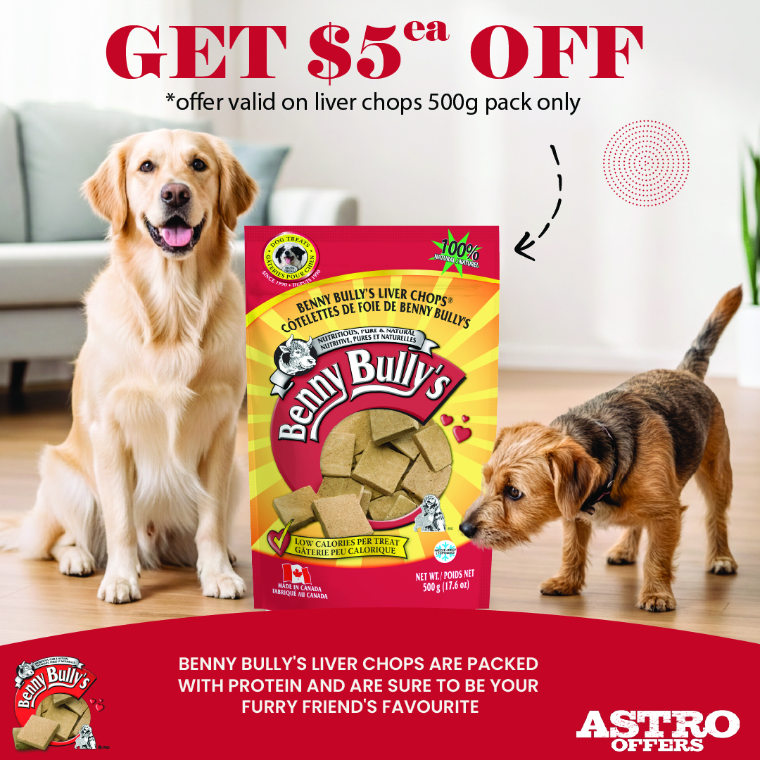 Experience Benny Bully's pure freeze dried beef liver.