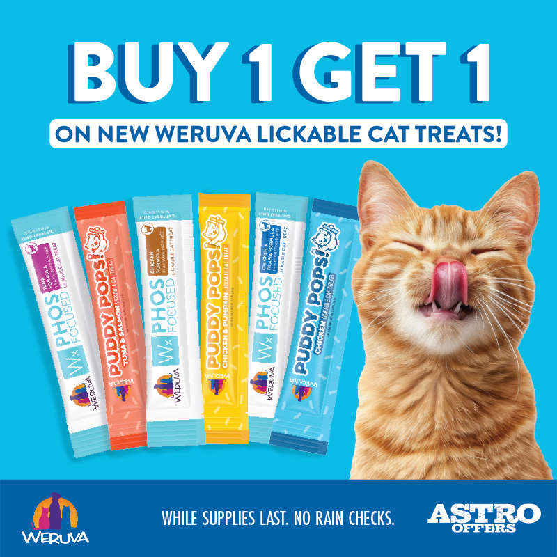 Weruva (Private Offer) | Buy 1, Get 1 FREE on NEW Weruva Lickable Cat Treats
