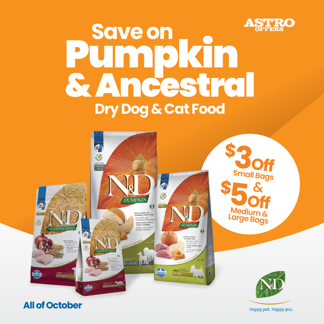 Crafted in small batches, featuring GMO-Free ingredients with up to 98% of the protein from animal sources. Our pet food is renowned for its extremely high palatability.