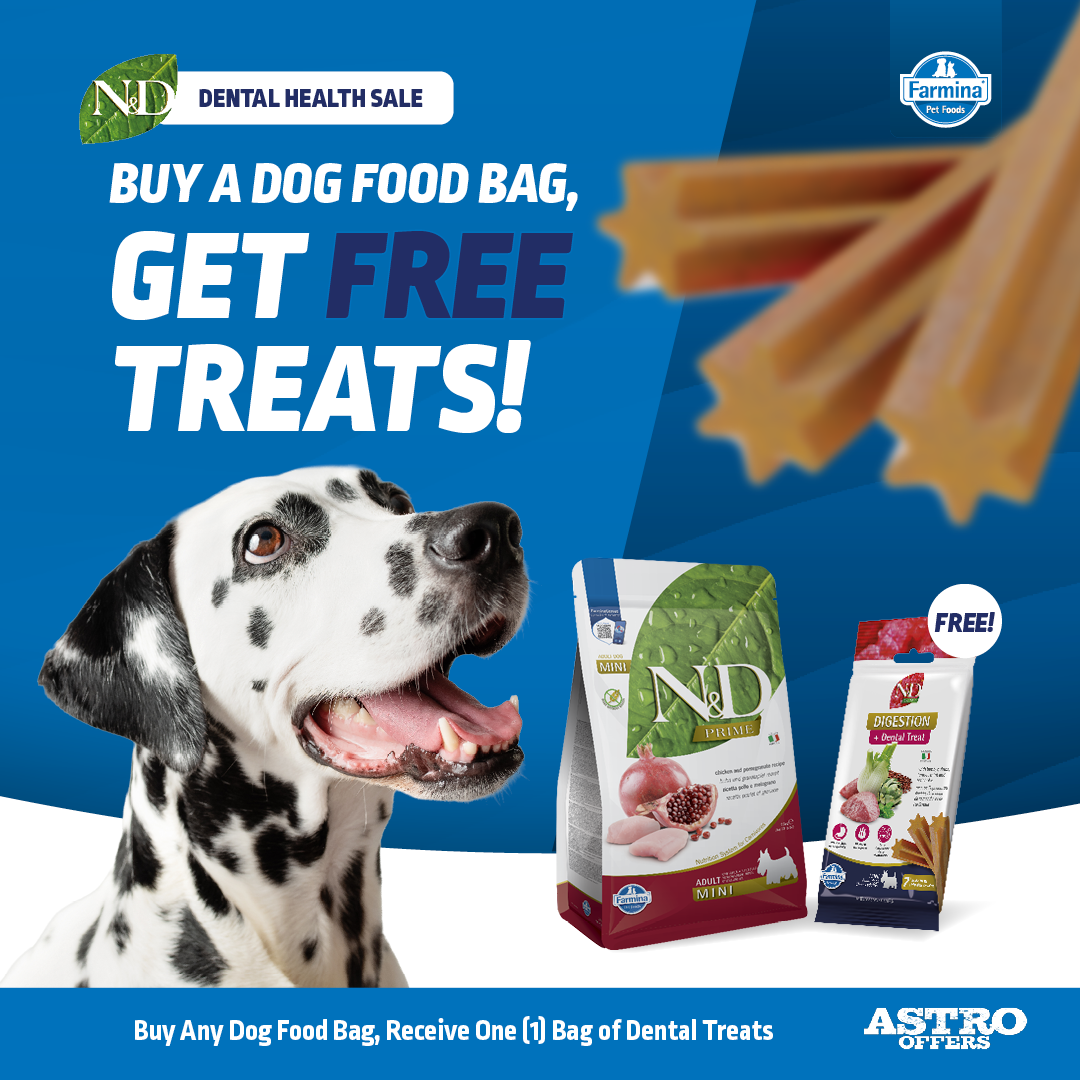 Support your dog's smile with every bite. N&D Dental Treats help clean teeth, freshen breath, and support oral health. A delicious & functional way to care for their smile with ingredients they love.