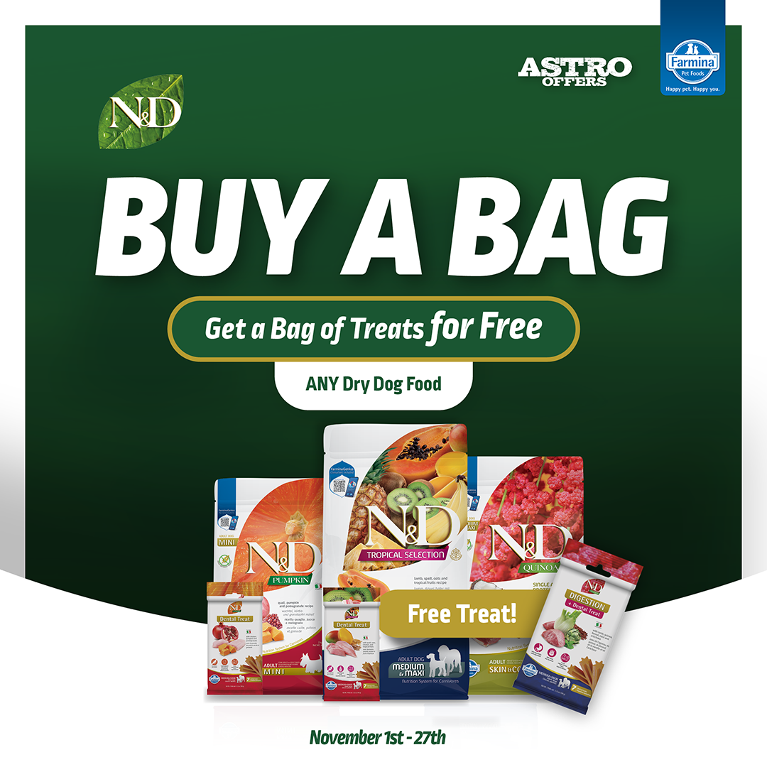 Support your dog's smile with every bite. N&D Dental Treats help clean teeth, freshen breath, and support oral health. A delicious & functional way to care for their smile with ingredients they love.