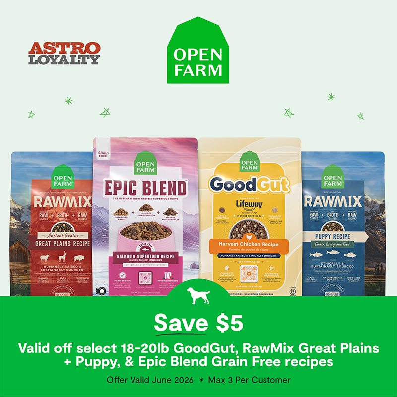 Support better digestion, great taste, and premium nutrition with our Kibble Plus recipes!