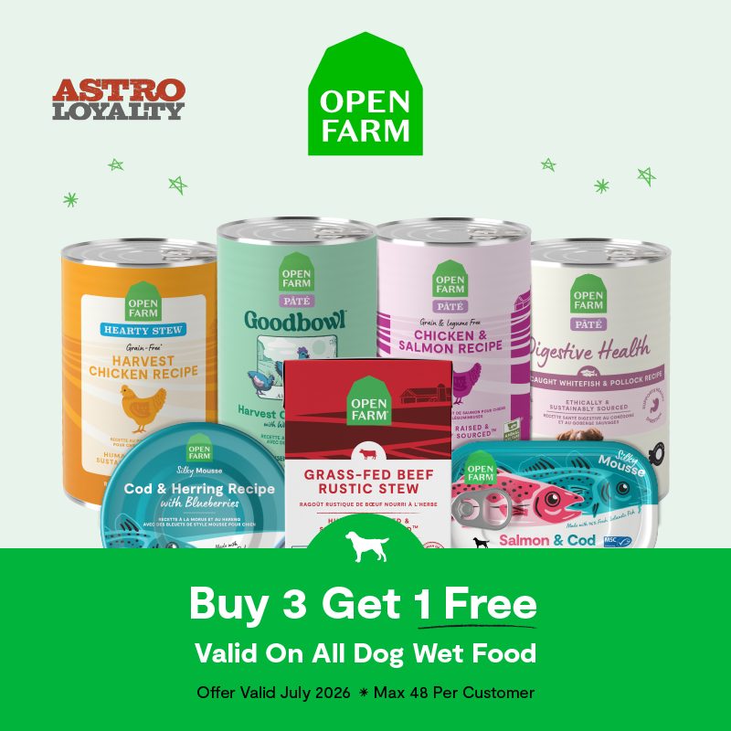 Treat your dog to elevated mealtime with premium wet food recipes in a variety of formats made to nourish and satisfy! 