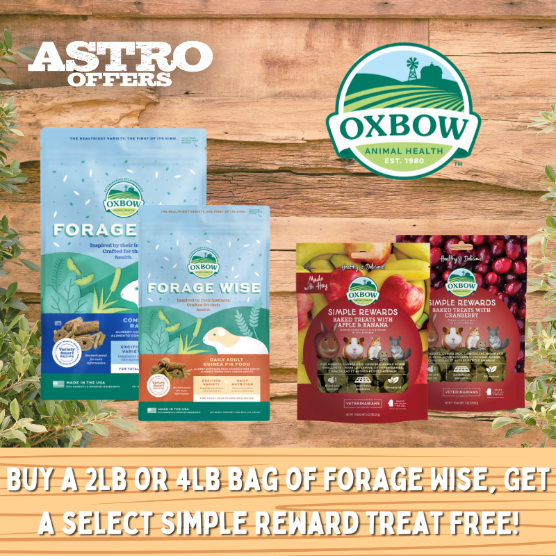 Oxbow | FREE Select Simple Reward Treat with Qualifying Forage Wise Purchase