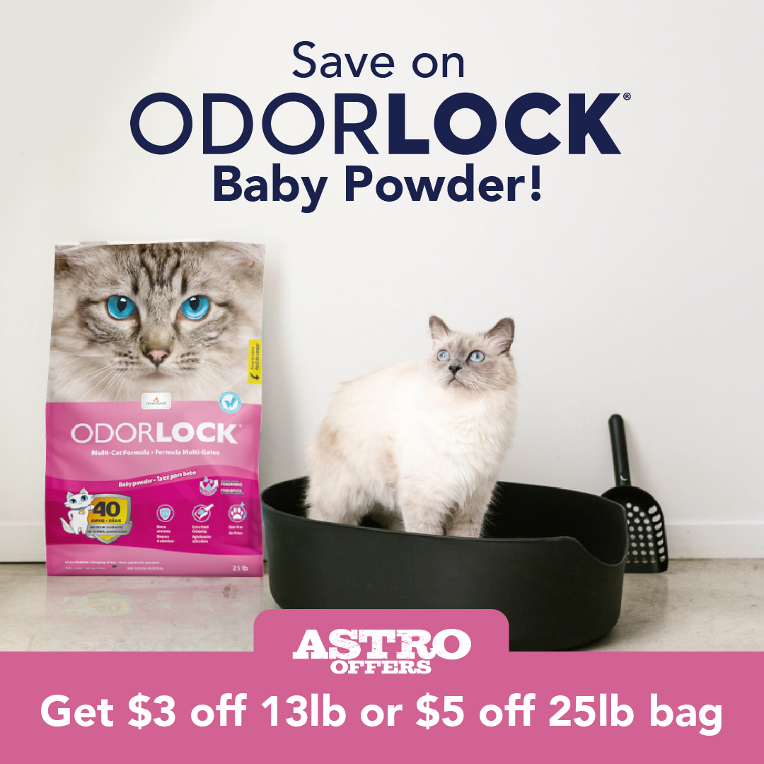 Intersand | Dollars OFF OdorLock 'Baby Powder' Litter
