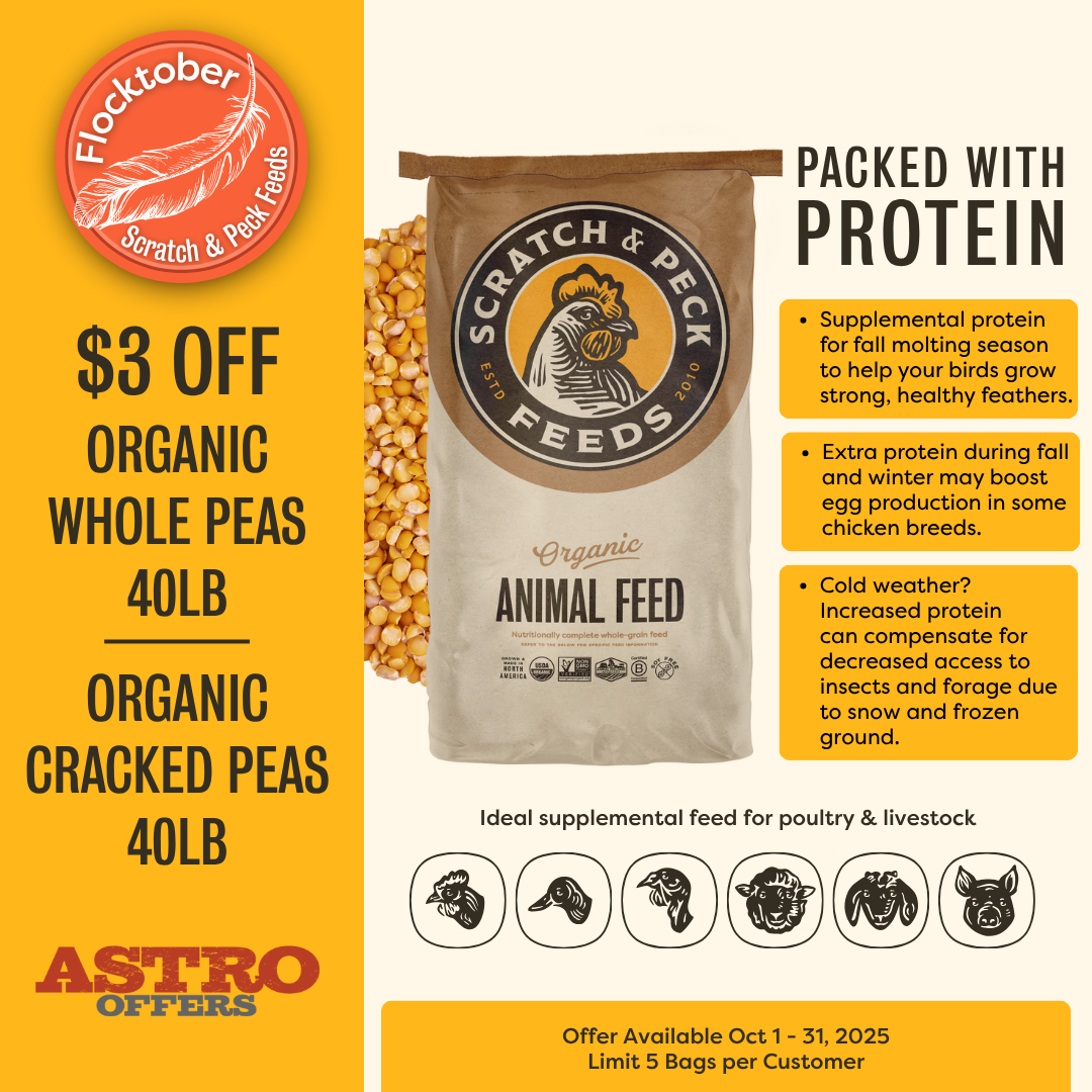 It's Flocktober! Pass the peas, please, to boost the protein intake of your flock and livestock to help them thrive this fall and winter.