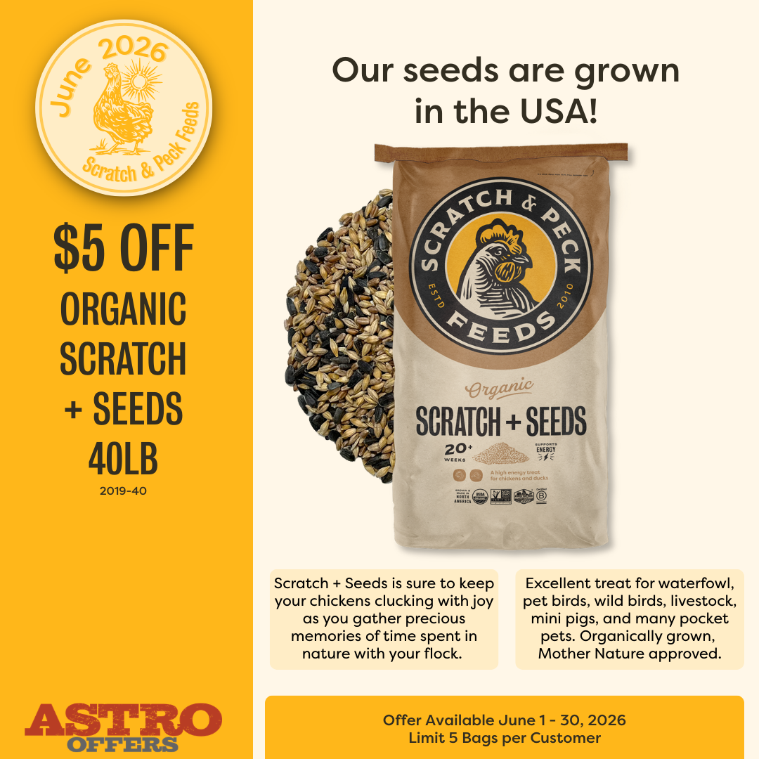 Stay sunny, snack happy! Whether scattered for foraging fun or offered as a daily delight, our Scratch + Seeds is sure to keep your chickens clucking with joy.