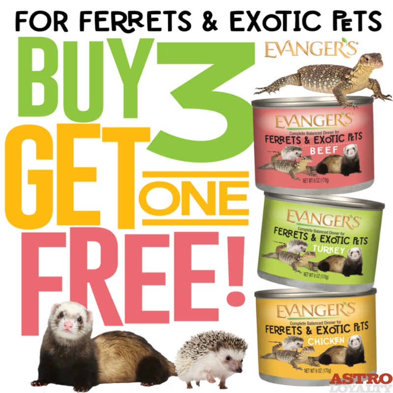 Evanger's Small Animal food is made with real meat, no fillers, added carbs or gums, and high animal protein to support a natural carnivorous die.