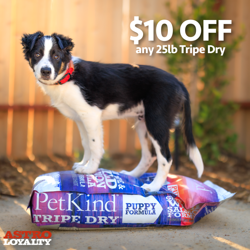 The best dog food made in Canada, featuring green tripe, red meat, and fresh, quality ingredients.