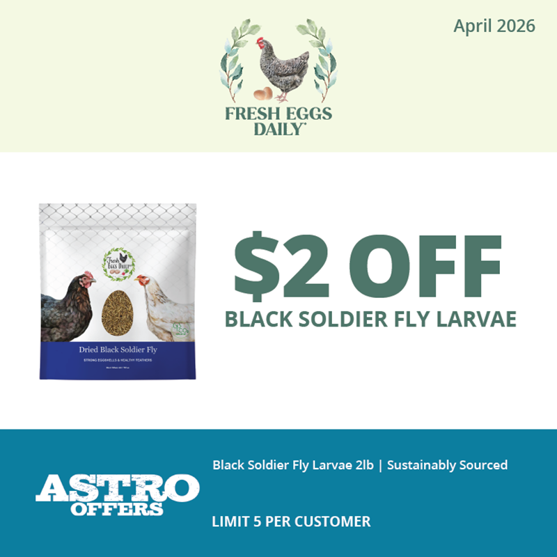 Fresh Eggs Daily | $2.00 OFF Black Solder Fly Larvae 