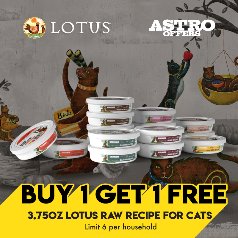 95% Raw meat recipe for Cats, Nutrients from food like Organic Dulse to supply minerals like zinc copper iron, Torula Yeast for Thiamine, Egg Shell Powder for calcium. No Fruits or Veggies, NO BONE!