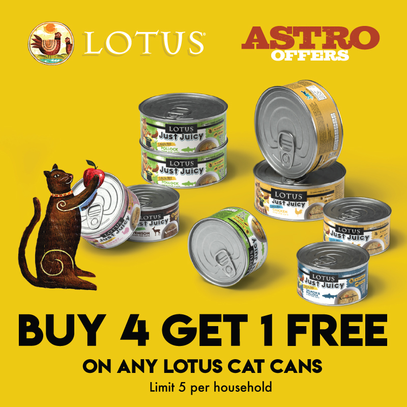 Lotus Cat Cans are made with immense love and care at our family Owned & Operated cannery in southern California. No Carrageenan or gums. Only human grade meat, broth, and vitamins for a complete diet