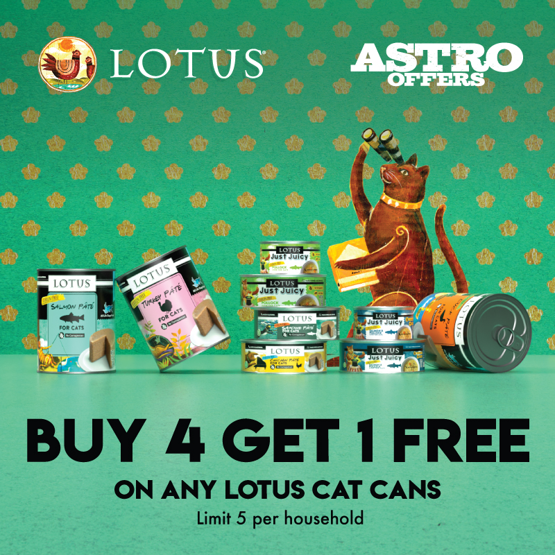 Lotus Cat Cans are made with immense love and care at our Family Owned & Operated cannery in southern California. No Carageenan, or gums. Only human grade meat, broth and vitamins for a complete diet.