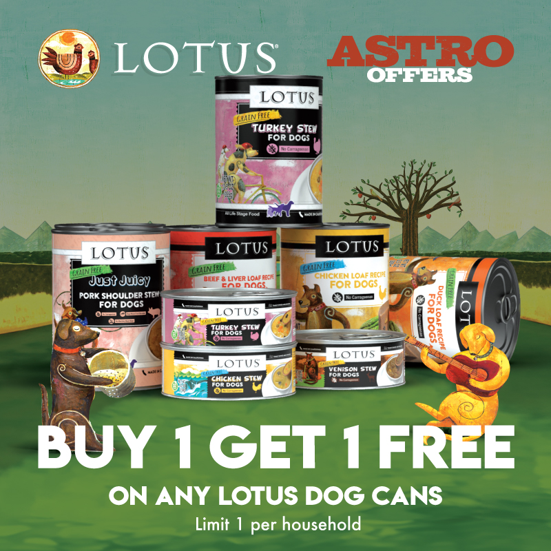Lotus Dog Cans are made with immense love and care at our Family Owned & Operated cannery in southern California. No Carageenan. Only human grade meat, veggies, broth & vitamins for a complete diet.