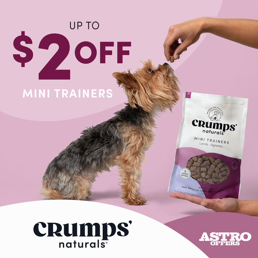 Mini Trainer May! Protein rich, maximum 3 calories per treat and perfectly portioned for any size dog makes our training treats an ideal option with a taste they will love! 